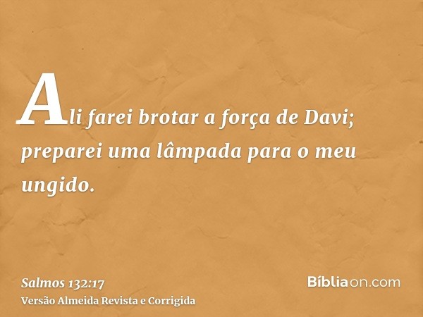 Ali farei brotar a força de Davi; preparei uma lâmpada para o meu ungido.