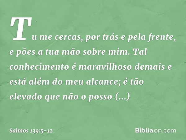 Tu me cercas, por trás e pela frente,
e pões a tua mão sobre mim. Tal conhecimento é maravilhoso demais
e está além do meu alcance;
é tão elevado que não o poss