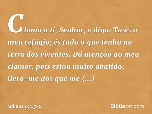 Clamo a ti, Senhor, e digo:
Tu és o meu refúgio;
és tudo o que tenho na terra dos viventes. Dá atenção ao meu clamor,
pois estou muito abatido;
livra-me dos que