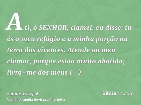 A ti, ó SENHOR, clamei; eu disse: tu és o meu refúgio e a minha porção na terra dos viventes.Atende ao meu clamor, porque estou muito abatido; livra-me dos meus