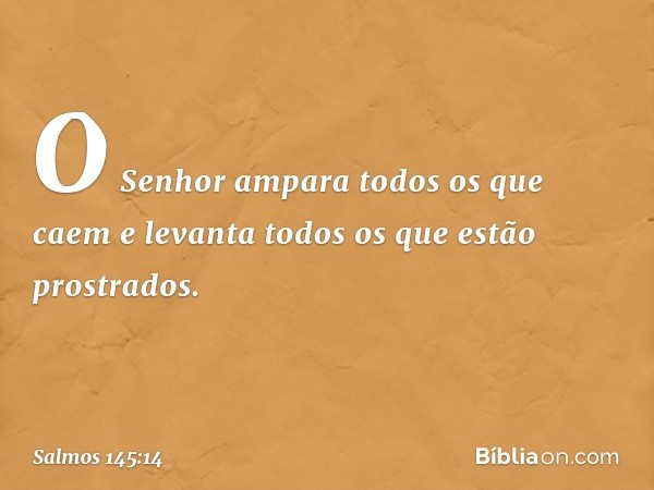 O Senhor ampara todos os que caem
e levanta todos os que estão prostrados. -- Salmo 145:14