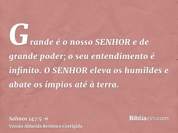 Grande é o nosso SENHOR e de grande poder; o seu entendimento é infinito.O SENHOR eleva os humildes e abate os ímpios até à terra.