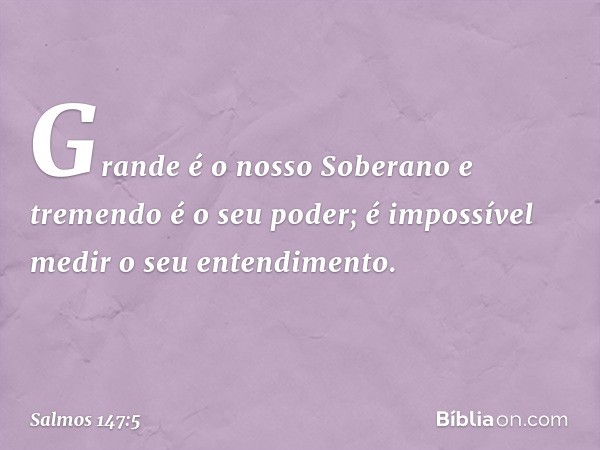 Grande é o nosso Soberano
e tremendo é o seu poder;
é impossível medir o seu entendimento. -- Salmo 147:5