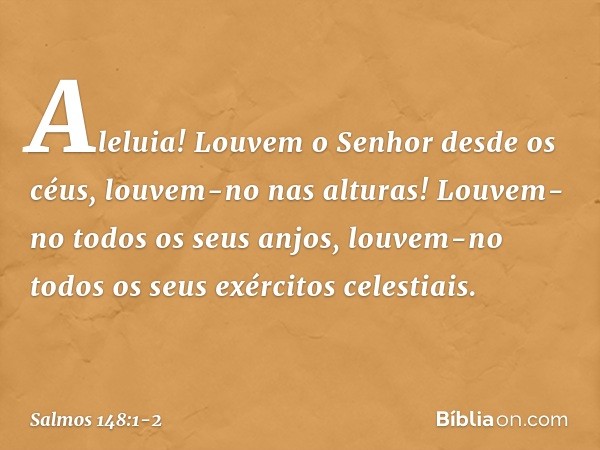 Aleluia!
Louvem o Senhor desde os céus,
louvem-no nas alturas! Louvem-no todos os seus anjos,
louvem-no todos os seus exércitos celestiais. -- Salmo 148:1-2