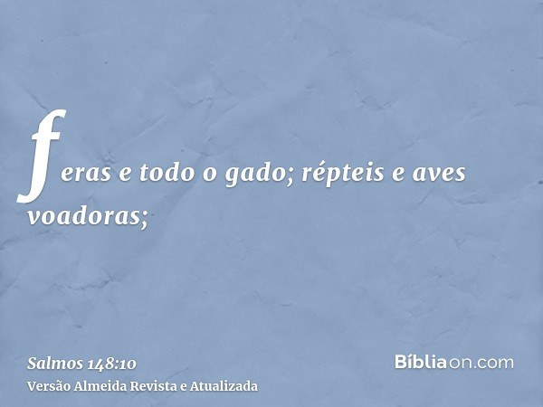 feras e todo o gado; répteis e aves voadoras;