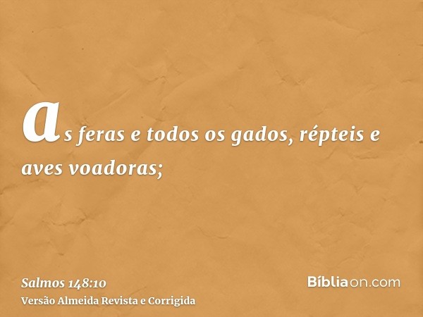as feras e todos os gados, répteis e aves voadoras;