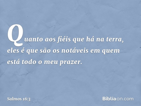 Quanto aos fiéis que há na terra,
eles é que são os notáveis
em quem está todo o meu prazer. -- Salmo 16:3