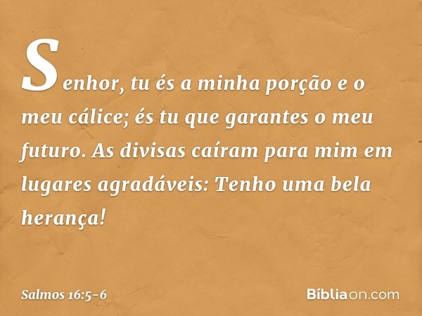 Senhor, tu és a minha porção e o meu cálice;
és tu que garantes o meu futuro. As divisas caíram para mim
em lugares agradáveis:
Tenho uma bela herança! -- Salmo