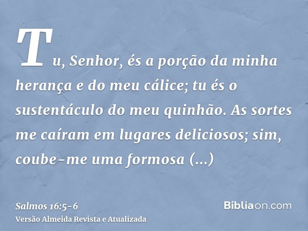 Tu, Senhor, és a porção da minha herança e do meu cálice; tu és o sustentáculo do meu quinhão.As sortes me caíram em lugares deliciosos; sim, coube-me uma formo