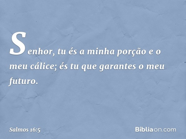 Senhor, tu és a minha porção e o meu cálice;
és tu que garantes o meu futuro. -- Salmo 16:5