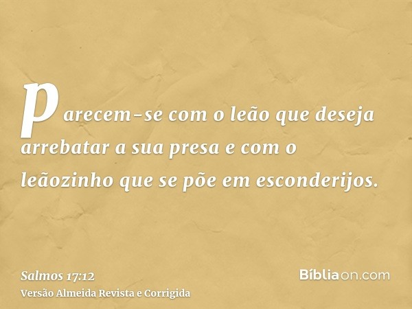 parecem-se com o leão que deseja arrebatar a sua presa e com o leãozinho que se põe em esconderijos.