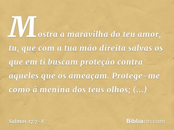 Mostra a maravilha do teu amor,
tu, que com a tua mão direita salvas
os que em ti buscam proteção
contra aqueles que os ameaçam. Protege-me como à menina dos te