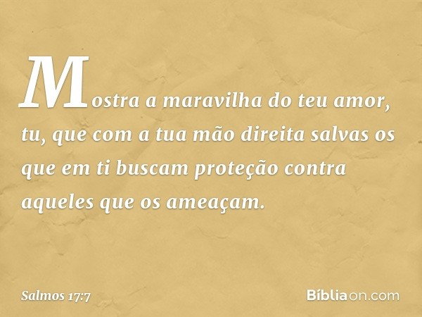 Mostra a maravilha do teu amor,
tu, que com a tua mão direita salvas
os que em ti buscam proteção
contra aqueles que os ameaçam. -- Salmo 17:7