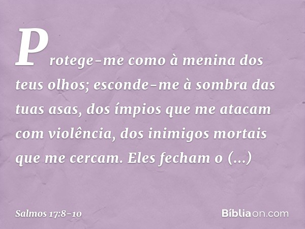 Protege-me como à menina dos teus olhos;
esconde-me à sombra das tuas asas, dos ímpios que me atacam com violência,
dos inimigos mortais que me cercam. Eles fec