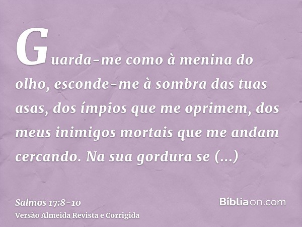 Guarda-me como à menina do olho, esconde-me à sombra das tuas asas,dos ímpios que me oprimem, dos meus inimigos mortais que me andam cercando.Na sua gordura se 