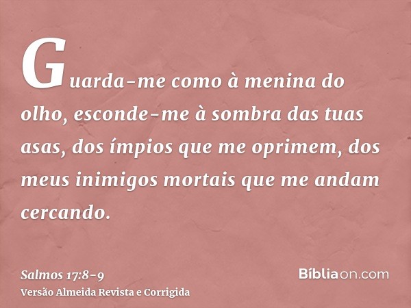 Guarda-me como à menina do olho, esconde-me à sombra das tuas asas,dos ímpios que me oprimem, dos meus inimigos mortais que me andam cercando.