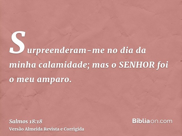 Surpreenderam-me no dia da minha calamidade; mas o SENHOR foi o meu amparo.