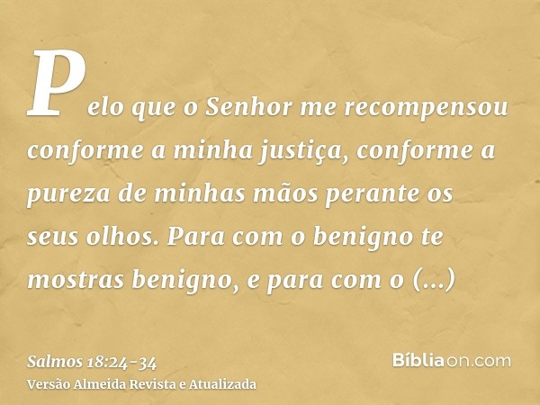 Pelo que o Senhor me recompensou conforme a minha justiça, conforme a pureza de minhas mãos perante os seus olhos.Para com o benigno te mostras benigno, e para 