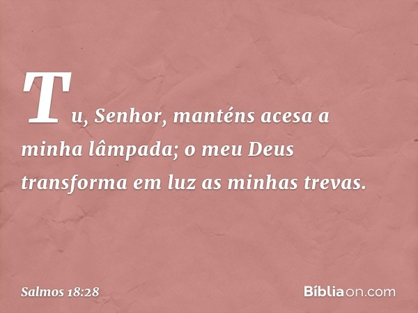 Tu, Senhor, manténs acesa a minha lâmpada;
o meu Deus transforma em luz as minhas trevas. -- Salmo 18:28