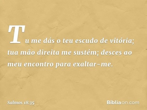 Tu me dás o teu escudo de vitória;
tua mão direita me sustém;
desces ao meu encontro para exaltar-me. -- Salmo 18:35