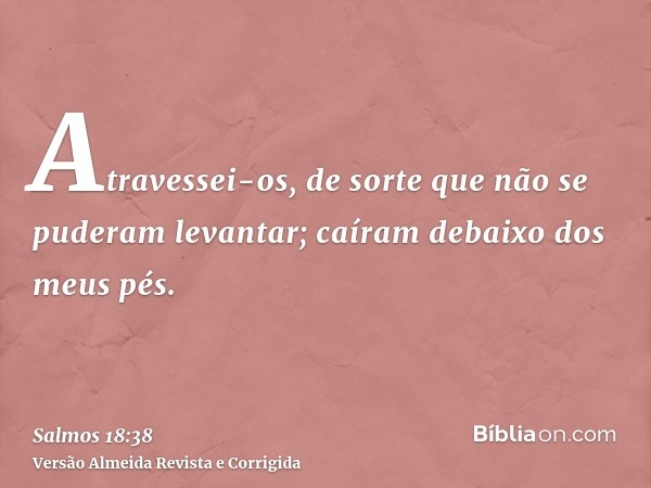 Atravessei-os, de sorte que não se puderam levantar; caíram debaixo dos meus pés.