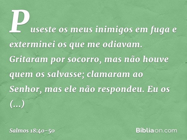 Puseste os meus inimigos em fuga
e exterminei os que me odiavam. Gritaram por socorro,
mas não houve quem os salvasse;
clamaram ao Senhor, mas ele não respondeu