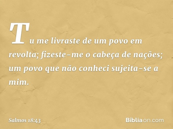 Tu me livraste de um povo em revolta;
fizeste-me o cabeça de nações;
um povo que não conheci sujeita-se a mim. -- Salmo 18:43