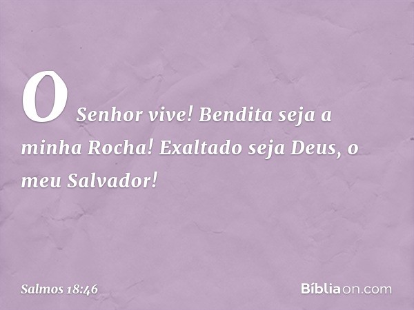 O Senhor vive! Bendita seja a minha Rocha!
Exaltado seja Deus, o meu Salvador! -- Salmo 18:46