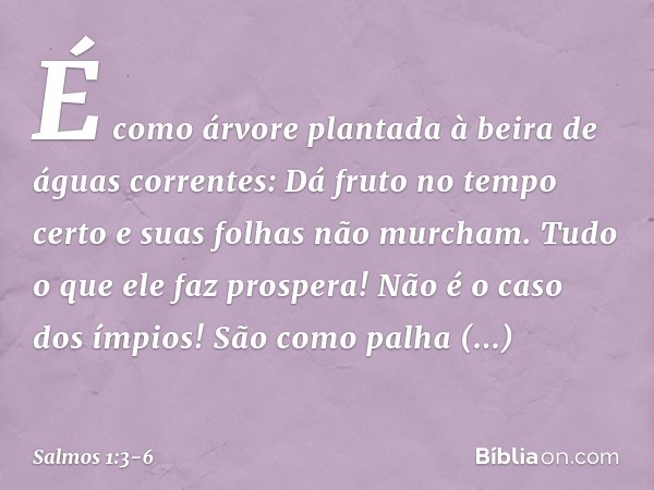 É como árvore plantada
à beira de águas correntes:
Dá fruto no tempo certo
e suas folhas não murcham.
Tudo o que ele faz prospera! Não é o caso dos ímpios!
São 
