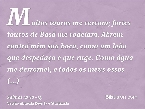 Muitos touros me cercam; fortes touros de Basã me rodeiam.Abrem contra mim sua boca, como um leão que despedaça e que ruge.Como água me derramei, e todos os meu