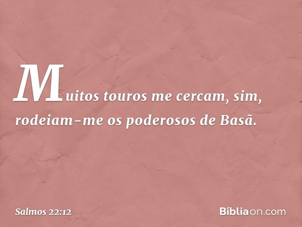 Muitos touros me cercam,
sim, rodeiam-me os poderosos de Basã. -- Salmo 22:12