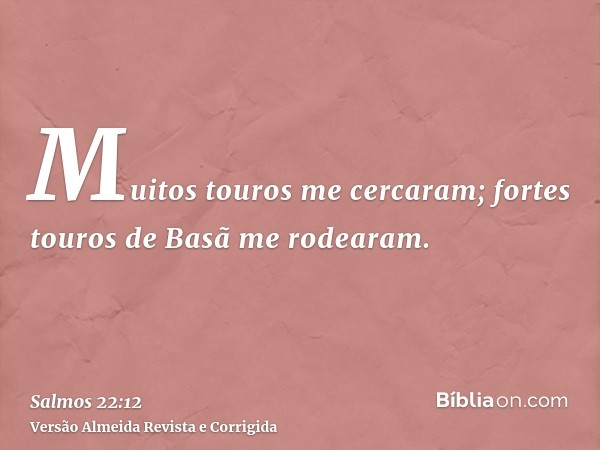 Muitos touros me cercaram; fortes touros de Basã me rodearam.