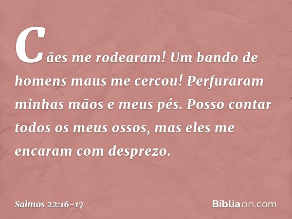 Cães me rodearam!
Um bando de homens maus me cercou!
Perfuraram minhas mãos e meus pés. Posso contar todos os meus ossos,
mas eles me encaram com desprezo. -- S