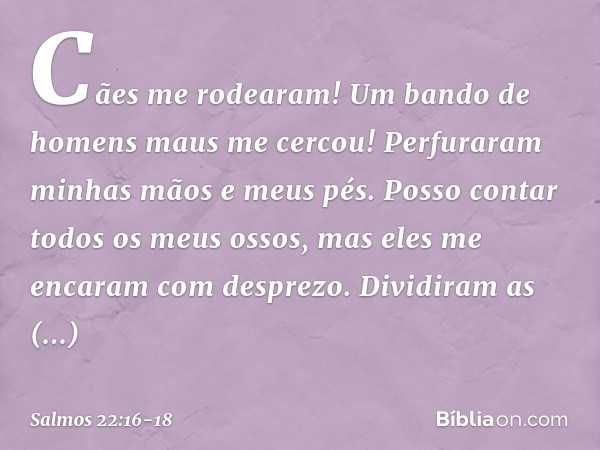 Cães me rodearam!
Um bando de homens maus me cercou!
Perfuraram minhas mãos e meus pés. Posso contar todos os meus ossos,
mas eles me encaram com desprezo. Divi