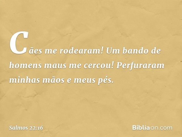 Cães me rodearam!
Um bando de homens maus me cercou!
Perfuraram minhas mãos e meus pés. -- Salmo 22:16