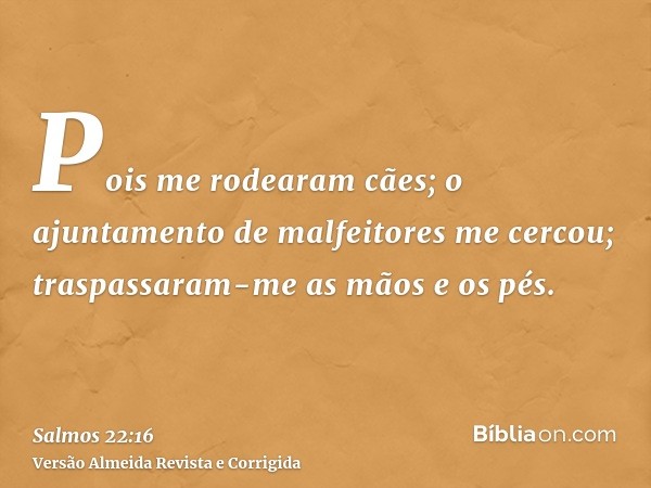 Pois me rodearam cães; o ajuntamento de malfeitores me cercou; traspassaram-me as mãos e os pés.