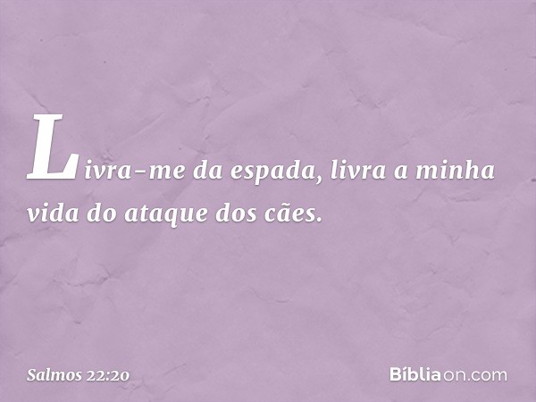 Livra-me da espada,
livra a minha vida do ataque dos cães. -- Salmo 22:20