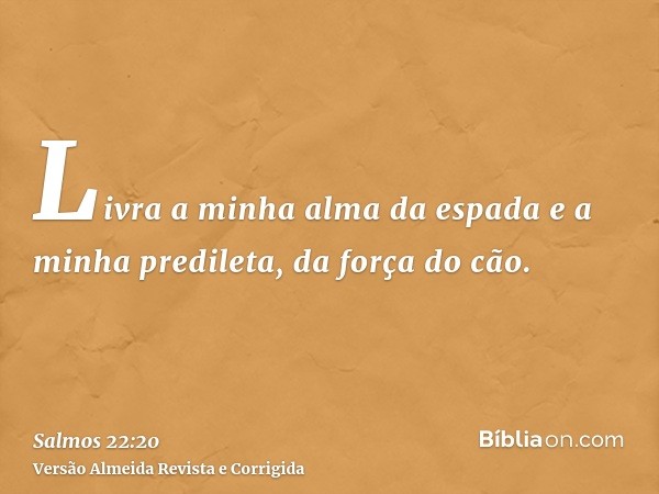 Livra a minha alma da espada e a minha predileta, da força do cão.