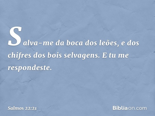 Salva-me da boca dos leões,
e dos chifres dos bois selvagens.
E tu me respondeste. -- Salmo 22:21