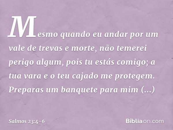 Mesmo quando eu andar
por um vale de trevas e morte,
não temerei perigo algum, pois tu estás comigo;
a tua vara e o teu cajado me protegem. Preparas um banquete