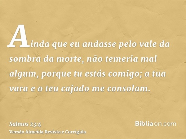 Ainda que eu andasse pelo vale da sombra da morte, não temeria mal algum, porque tu estás comigo; a tua vara e o teu cajado me consolam.