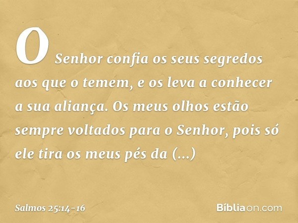 O Senhor confia os seus segredos
aos que o temem,
e os leva a conhecer a sua aliança. Os meus olhos estão sempre voltados
para o Senhor,
pois só ele tira os meu