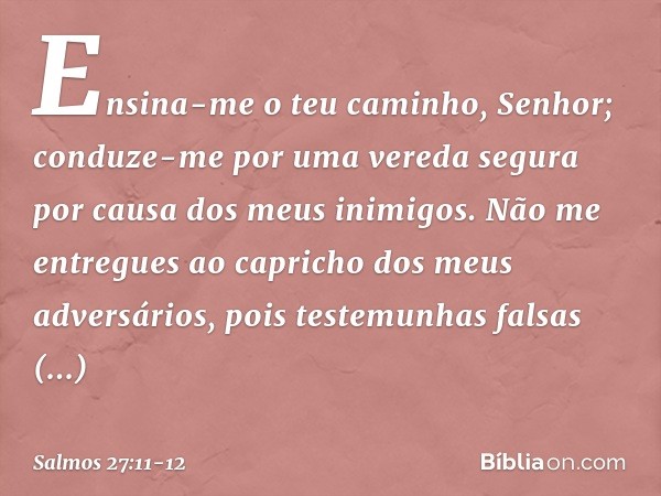 Ensina-me o teu caminho, Senhor;
conduze-me por uma vereda segura
por causa dos meus inimigos. Não me entregues
ao capricho dos meus adversários,
pois testemunh