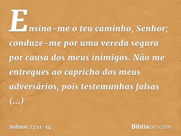 Ensina-me o teu caminho, Senhor;
conduze-me por uma vereda segura
por causa dos meus inimigos. Não me entregues
ao capricho dos meus adversários,
pois testemunh