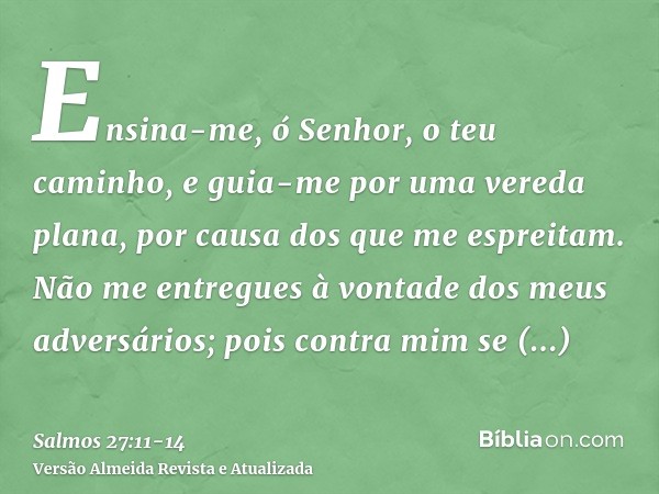 Ensina-me, ó Senhor, o teu caminho, e guia-me por uma vereda plana, por causa dos que me espreitam.Não me entregues à vontade dos meus adversários; pois contra 