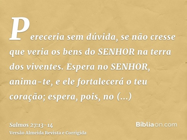 Pereceria sem dúvida, se não cresse que veria os bens do SENHOR na terra dos viventes.Espera no SENHOR, anima-te, e ele fortalecerá o teu coração; espera, pois,