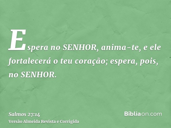 Espera no SENHOR, anima-te, e ele fortalecerá o teu coração; espera, pois, no SENHOR.