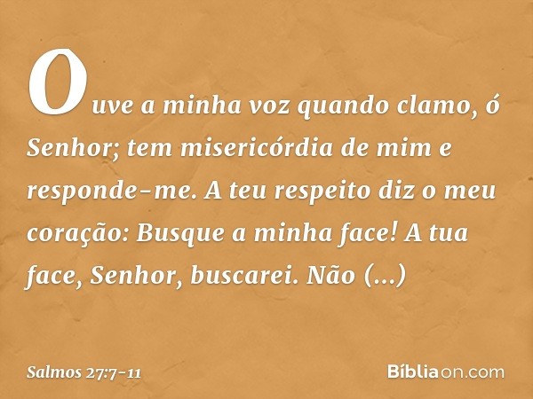 Ouve a minha voz quando clamo, ó Senhor;
tem misericórdia de mim e responde-me. A teu respeito diz o meu coração:
Busque a minha face!
A tua face, Senhor, busca