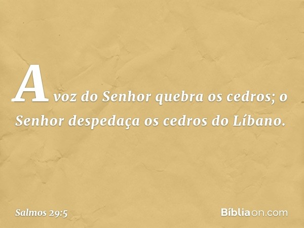 A voz do Senhor quebra os cedros;
o Senhor despedaça os cedros do Líbano. -- Salmo 29:5