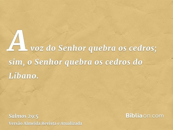 A voz do Senhor quebra os cedros; sim, o Senhor quebra os cedros do Líbano.